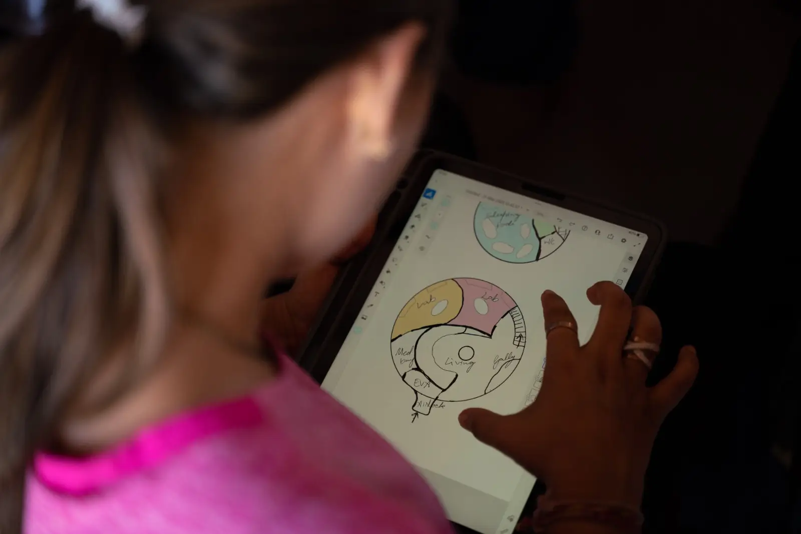 Lunar Analog image 25