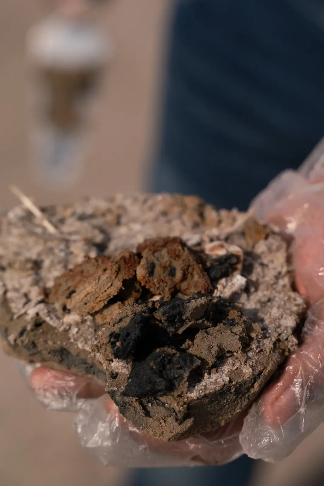 Lunar Analog image 36