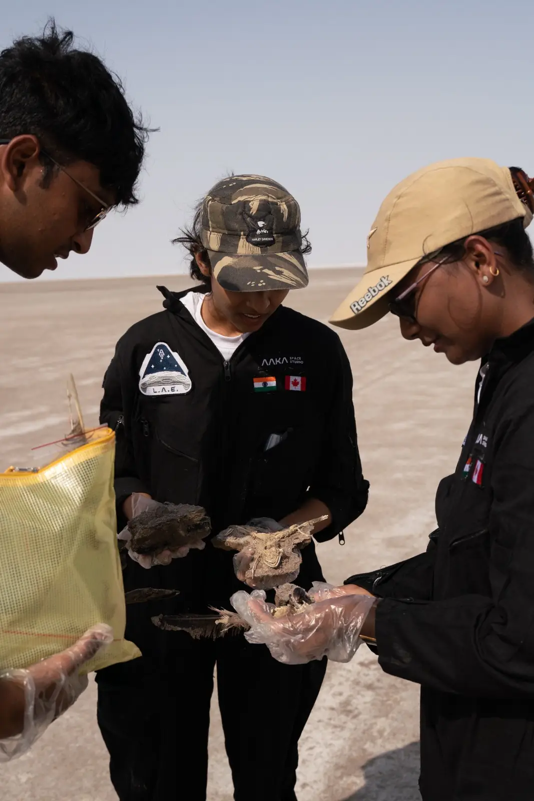 Lunar Analog image 39