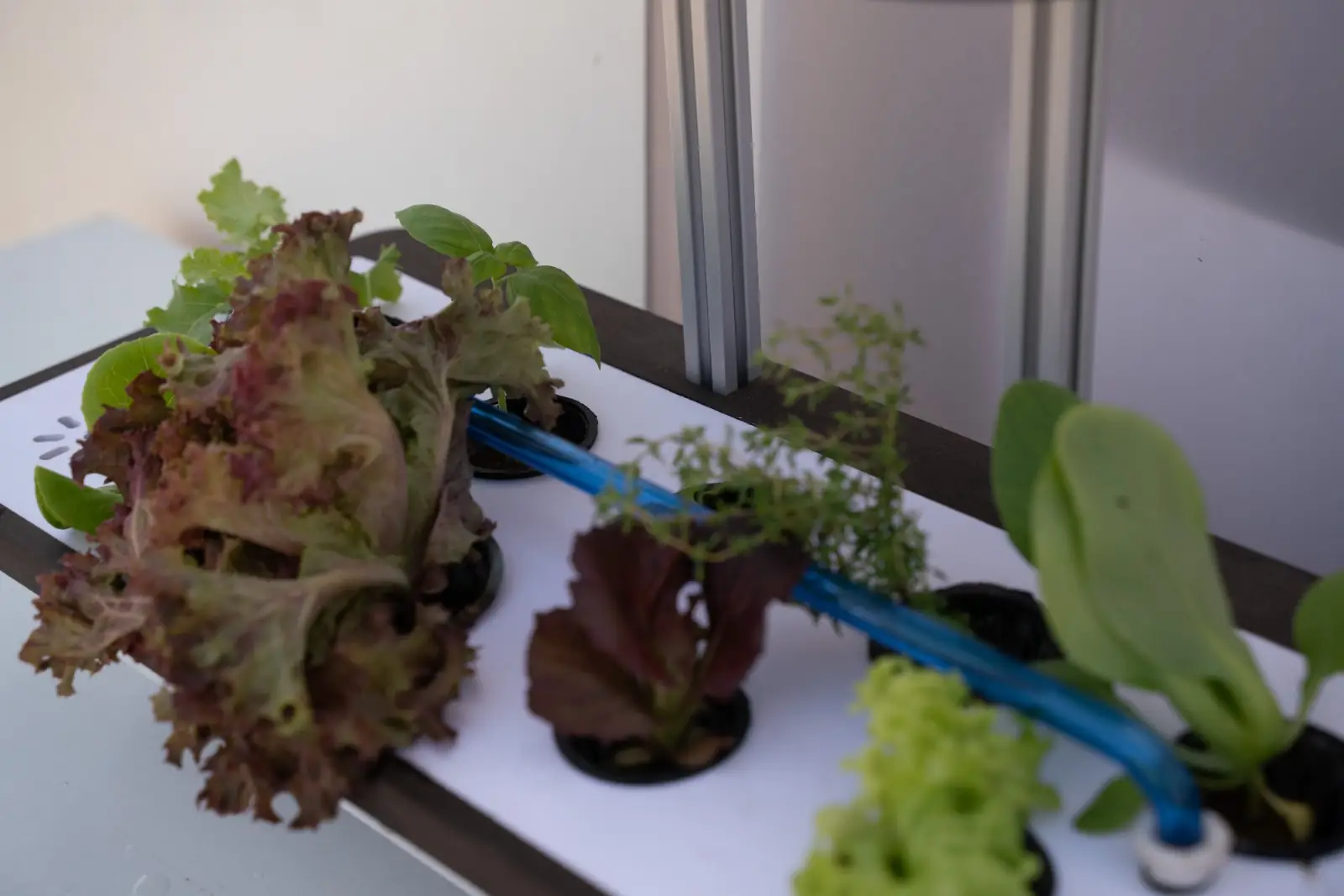 Lunar Analog image 40